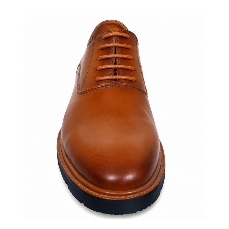 Chaussures Homme Élégantes